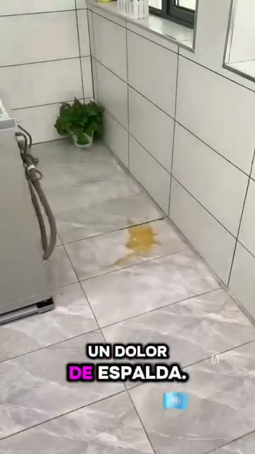 Soporte con ruedas para electrodomésticos