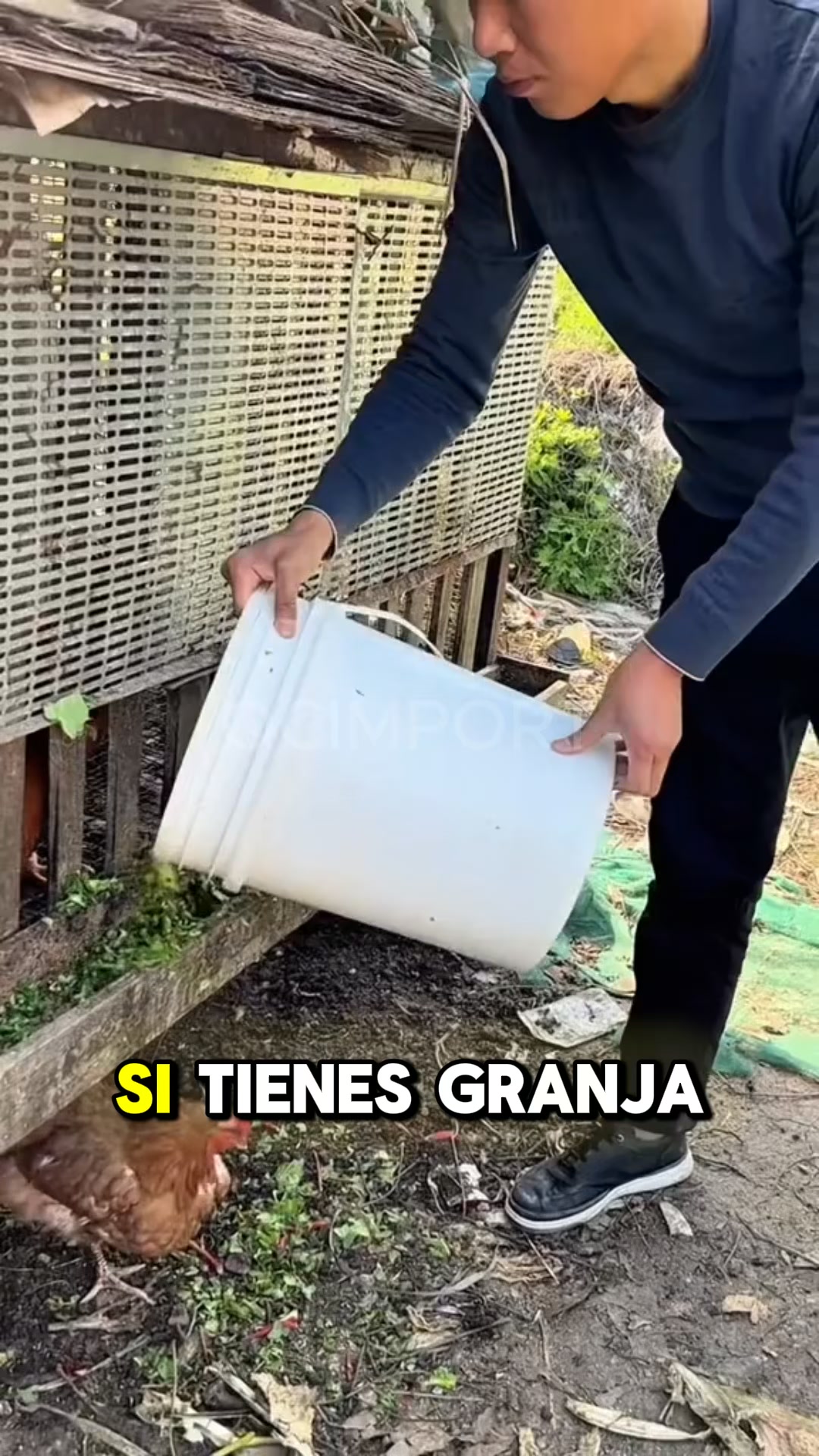 Picadora y molino de forraje