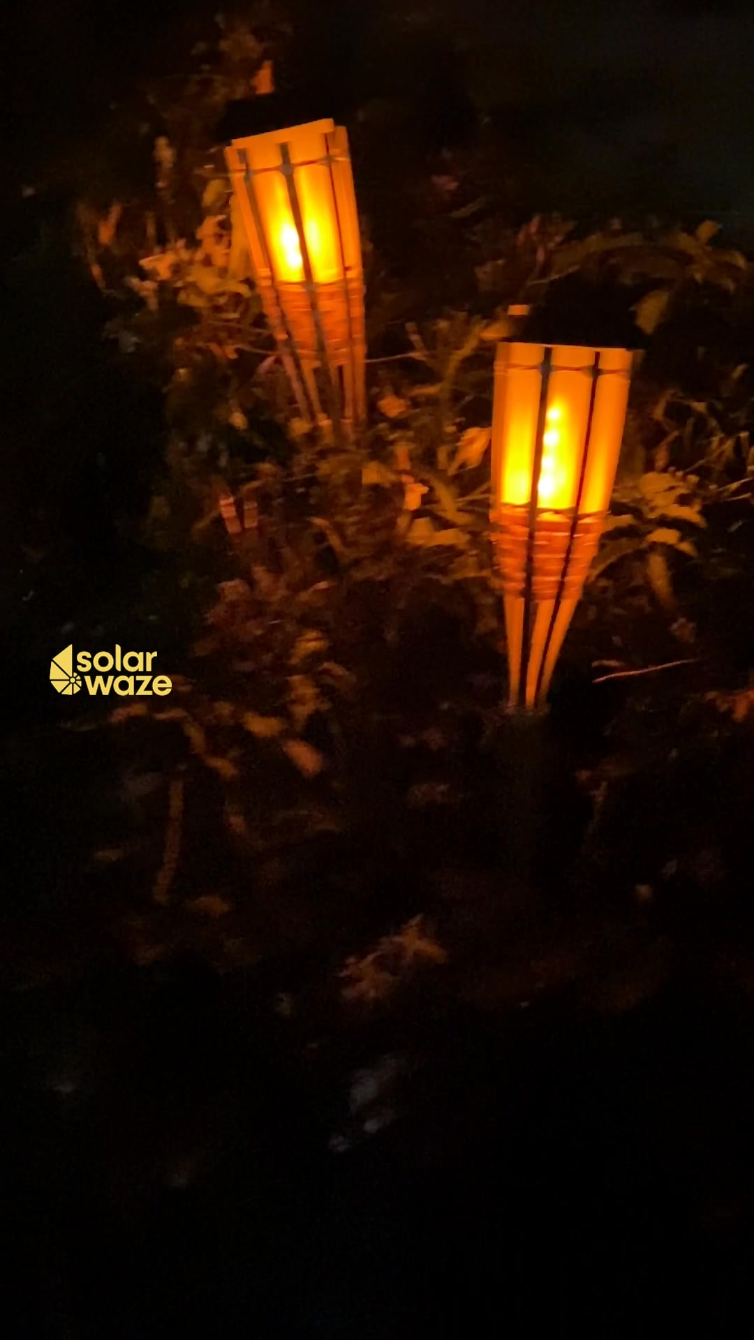 Medusas solares RGB