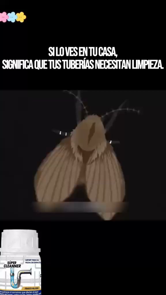 Limpiador de drenaje