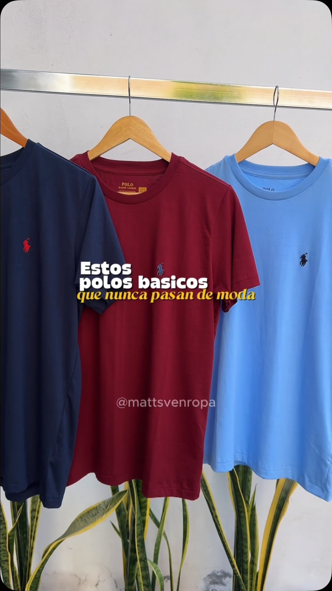 Polo básico