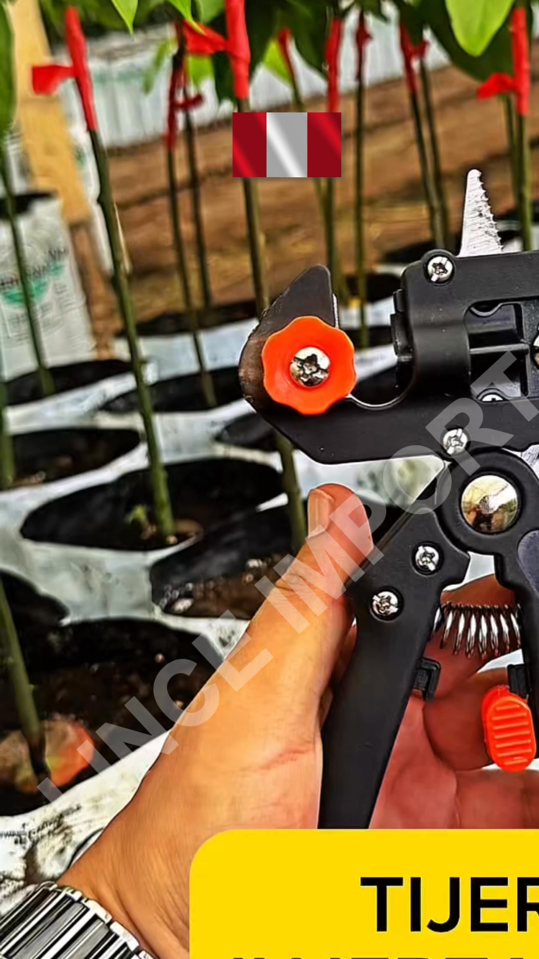 Tijera de injerto para plantas
