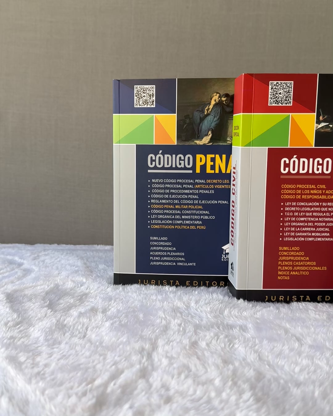 Códigos Civil y Penal con Constitución comentada
